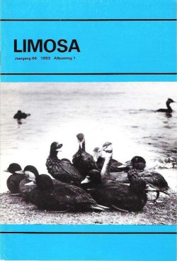 limosa 66.1 1993