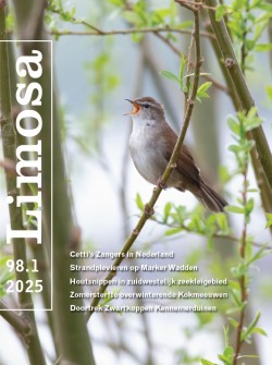 limosa 98.1 2025