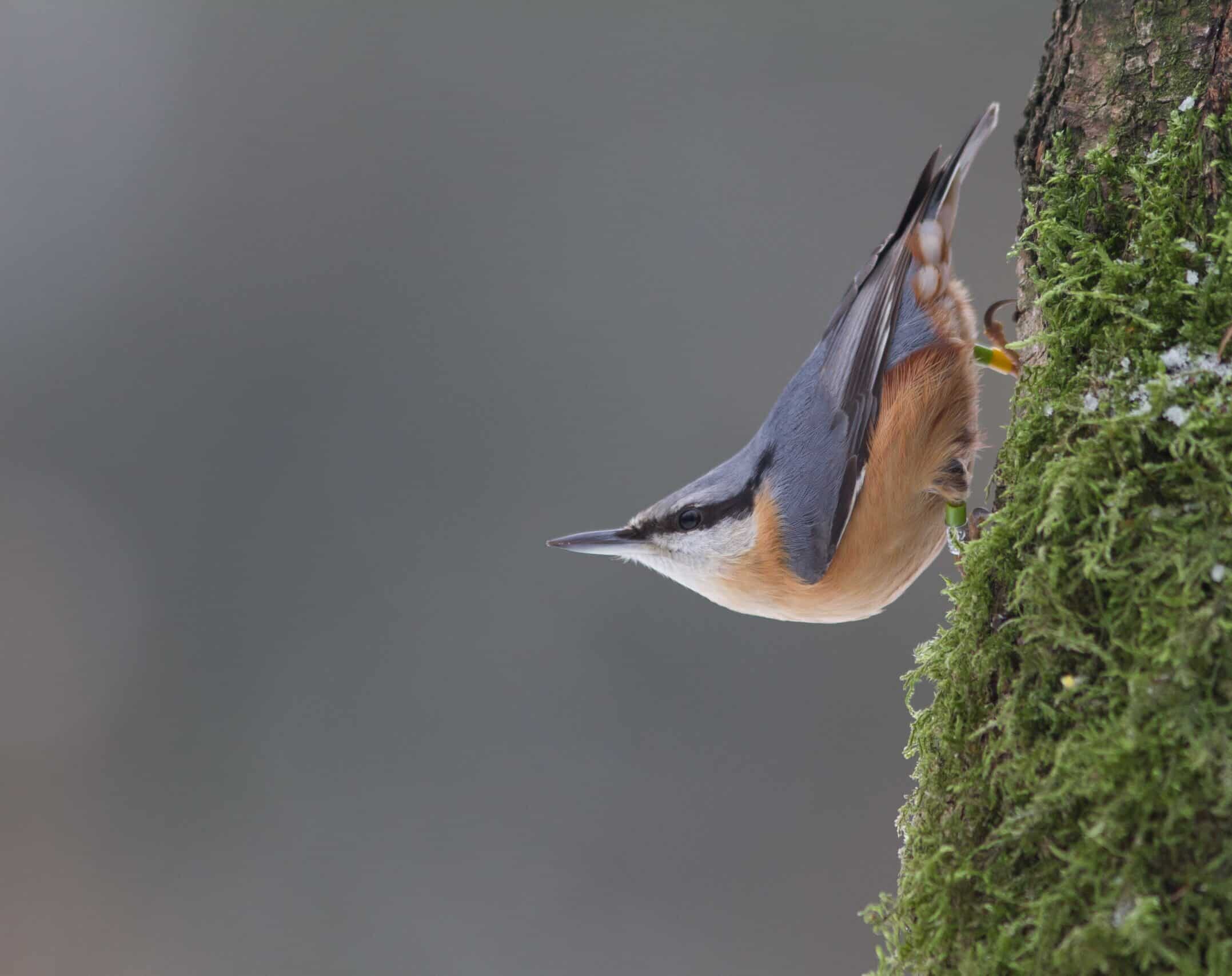 20130125_IMG_0528_Jouke Altenburg