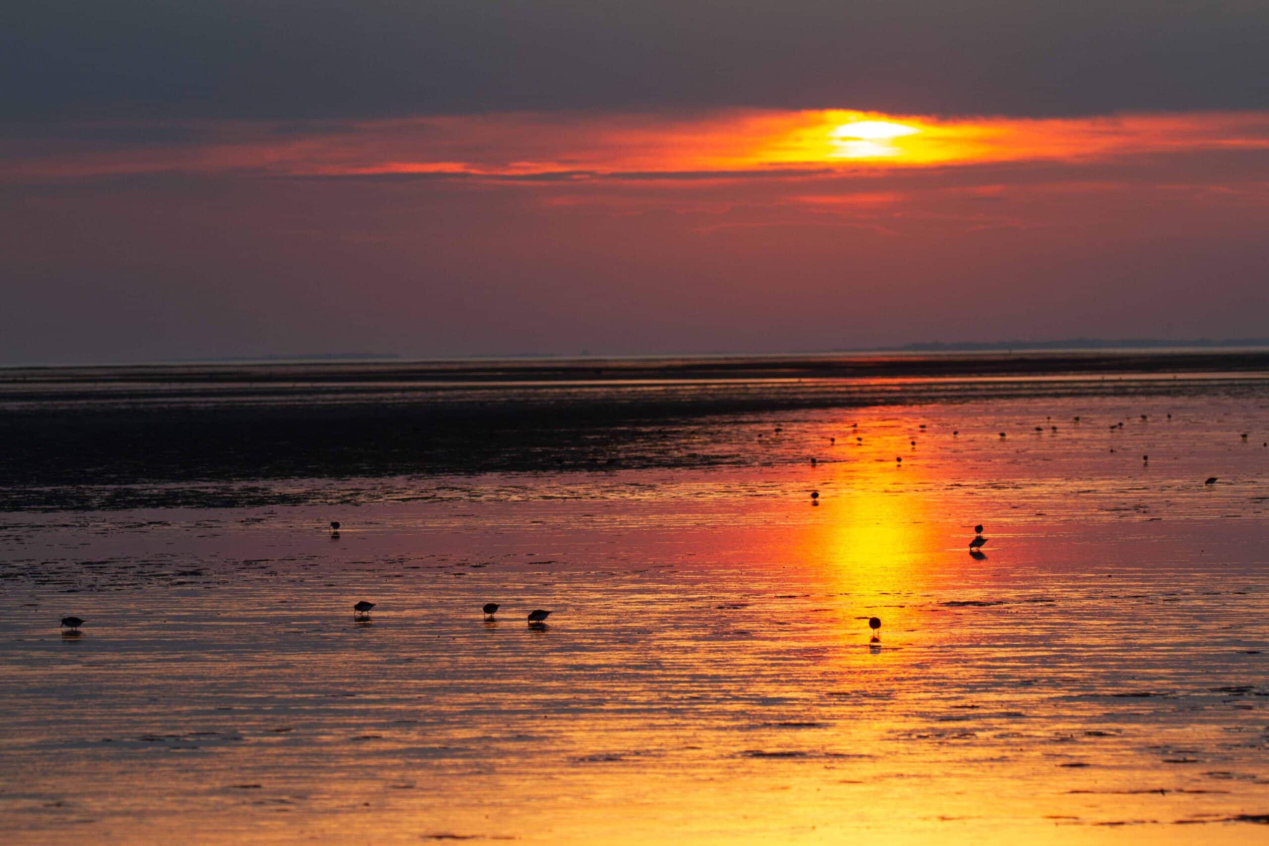 20181014_IMG_1147_Jouke Altenburg